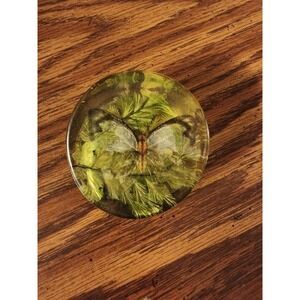 Vintage Design Gifts Intl Lucite Acrylic Butterfly Flowers‎ Paperweight UV Glow